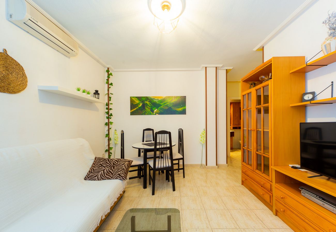 Apartamento en Torrevieja - ID100