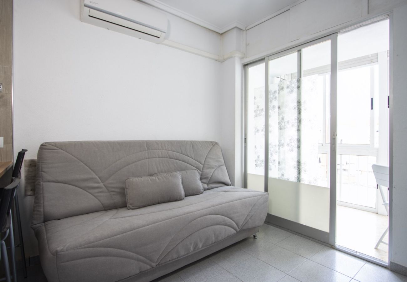 Estudio en Torrevieja - ID49