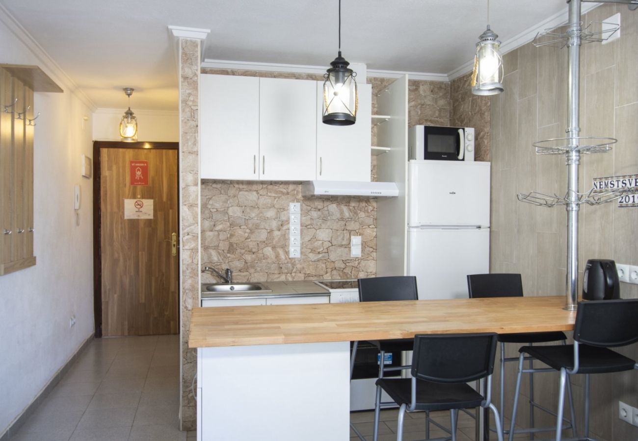 Estudio en Torrevieja - ID49