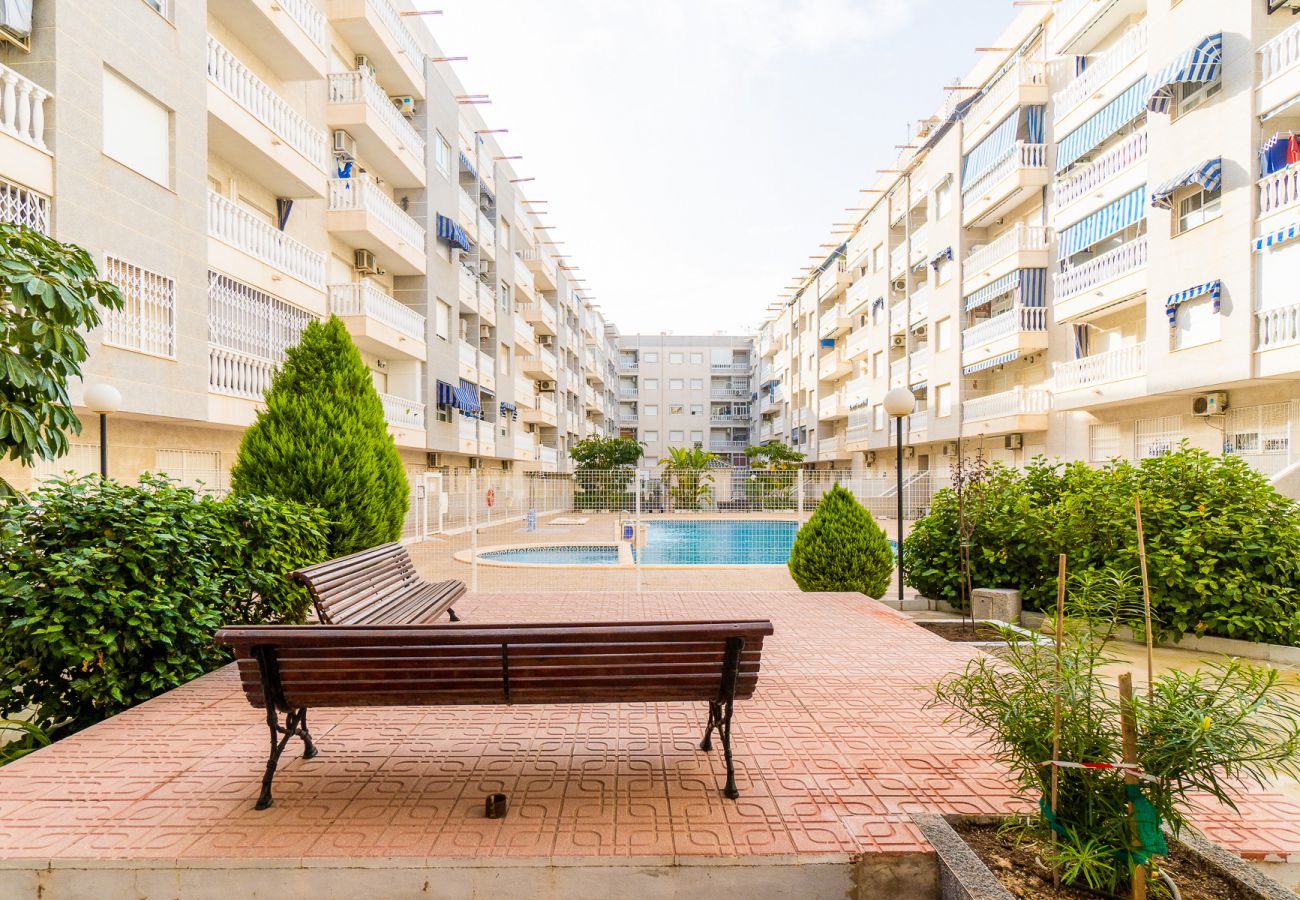 Apartamento en Torrevieja - ID27