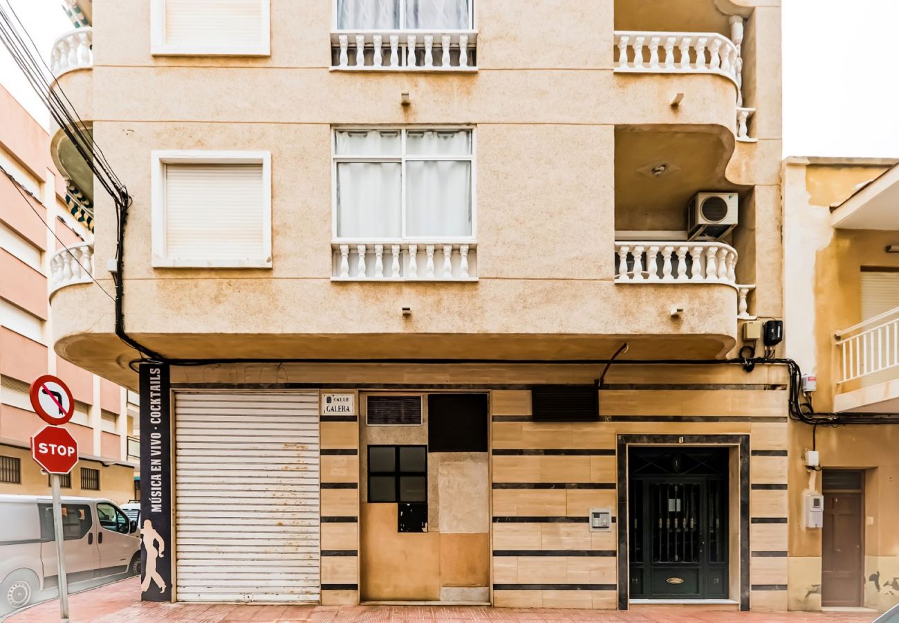 Estudio en Torrevieja - ID105