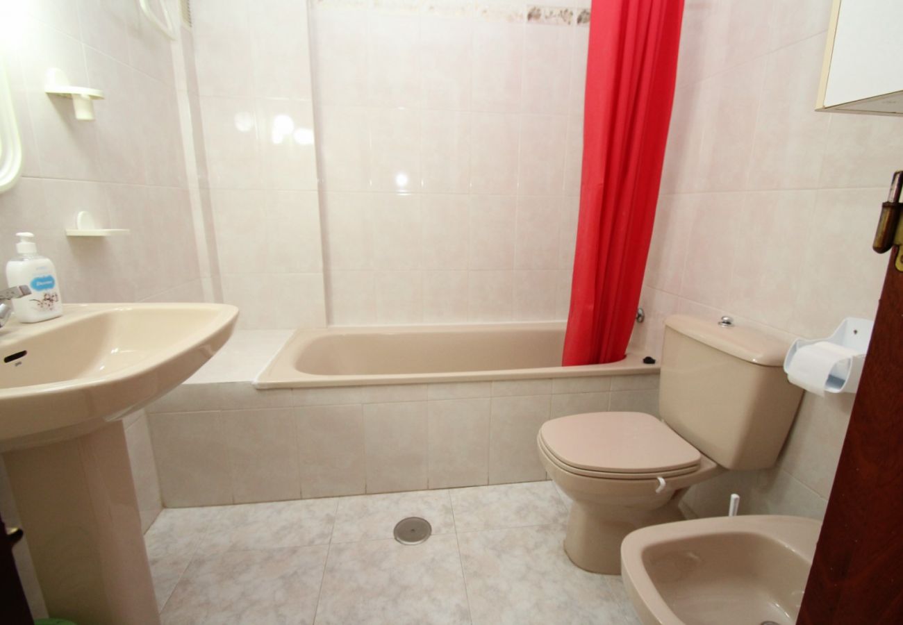 Estudio en Torrevieja - ID15