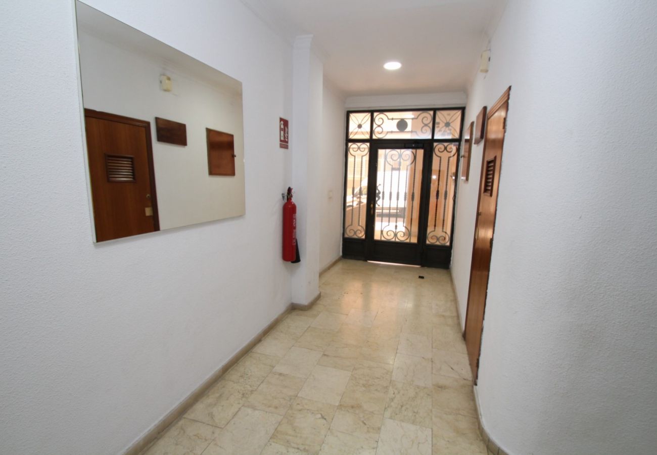 Estudio en Torrevieja - ID15