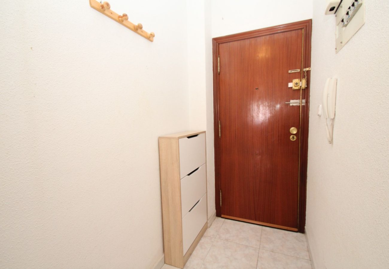 Estudio en Torrevieja - ID15