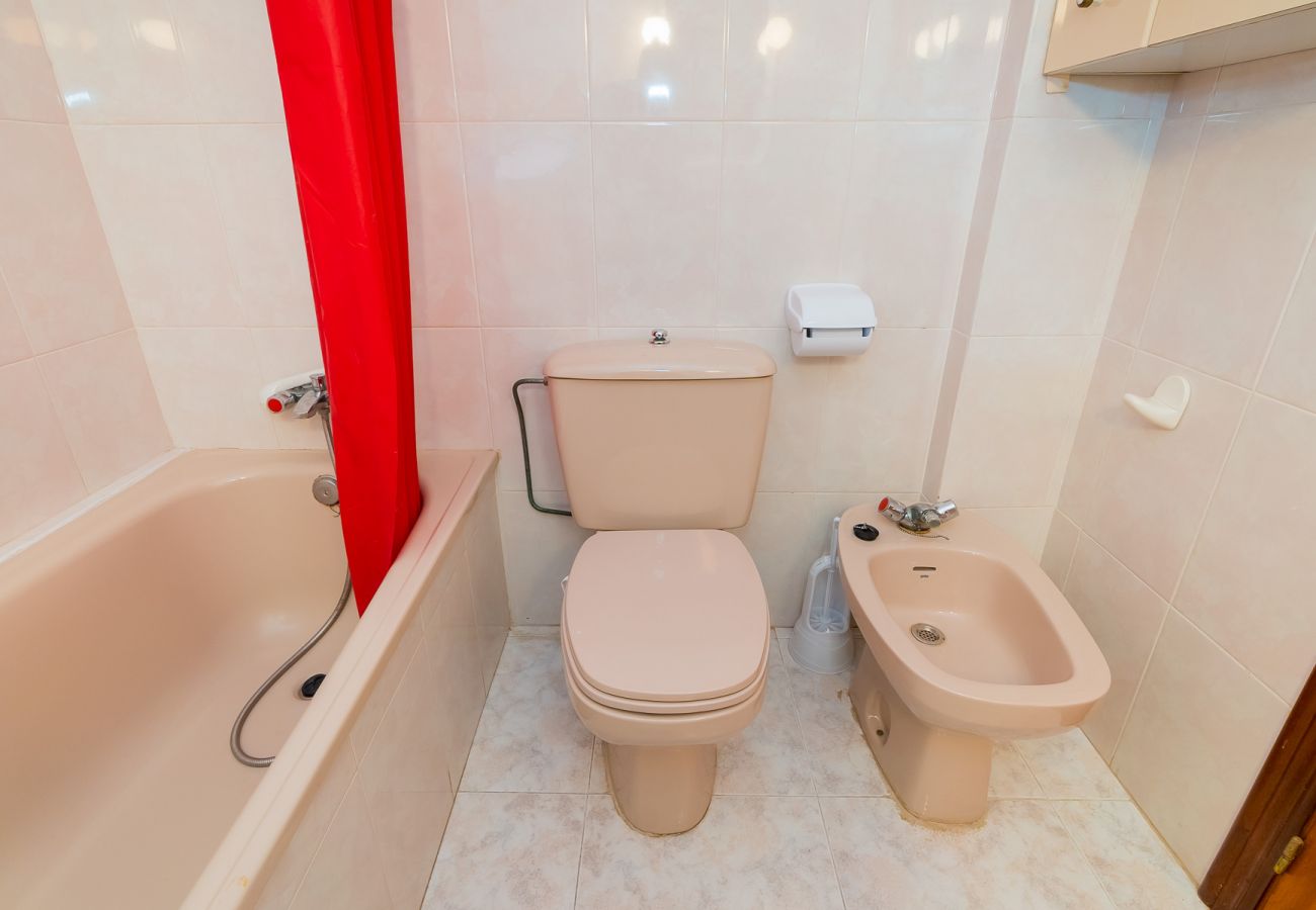 Estudio en Torrevieja - ID15