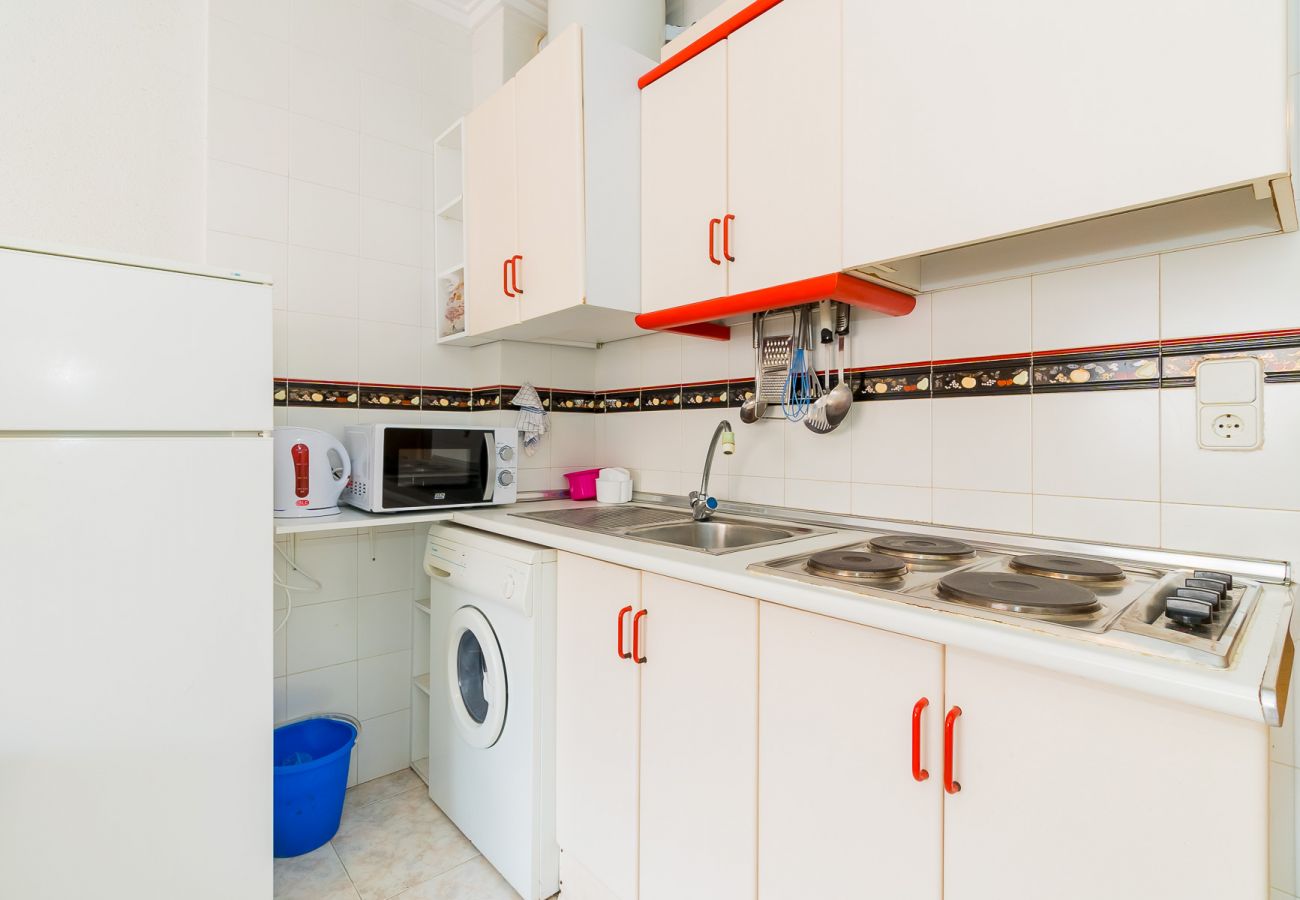Estudio en Torrevieja - ID15
