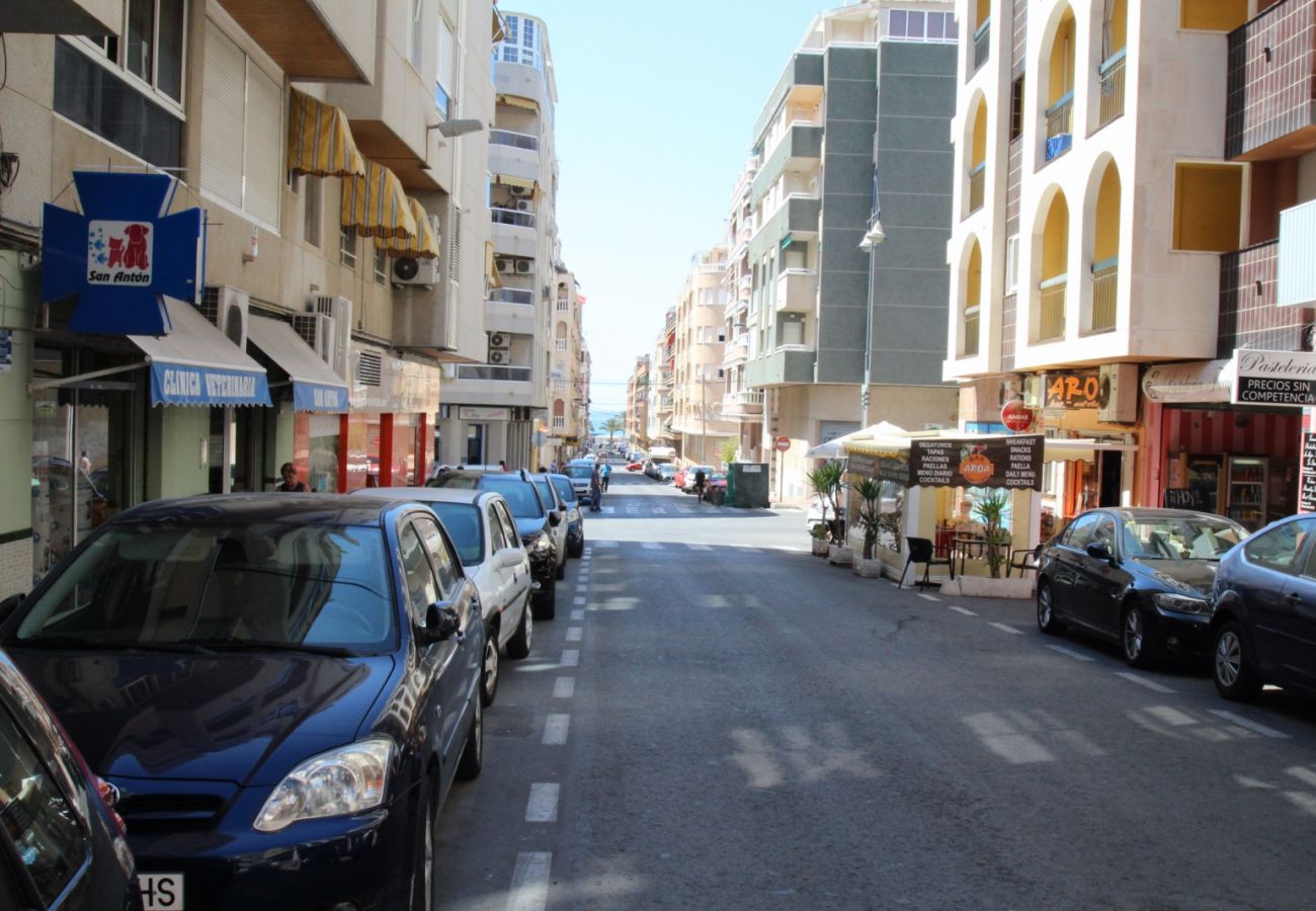 Estudio en Torrevieja - ID15