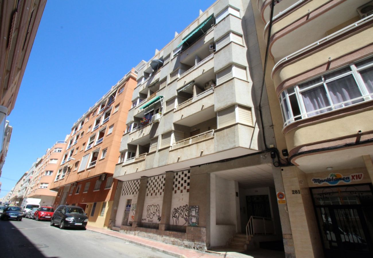 Estudio en Torrevieja - ID15