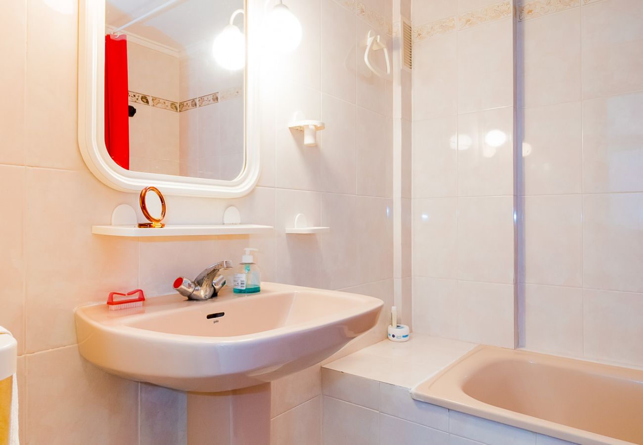 Estudio en Torrevieja - ID15