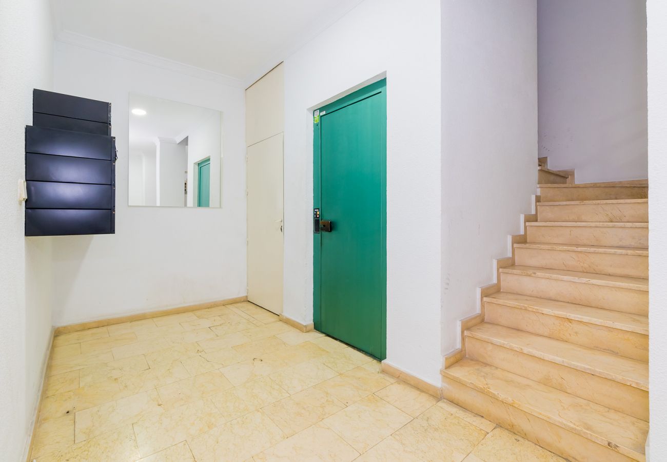 Estudio en Torrevieja - ID15