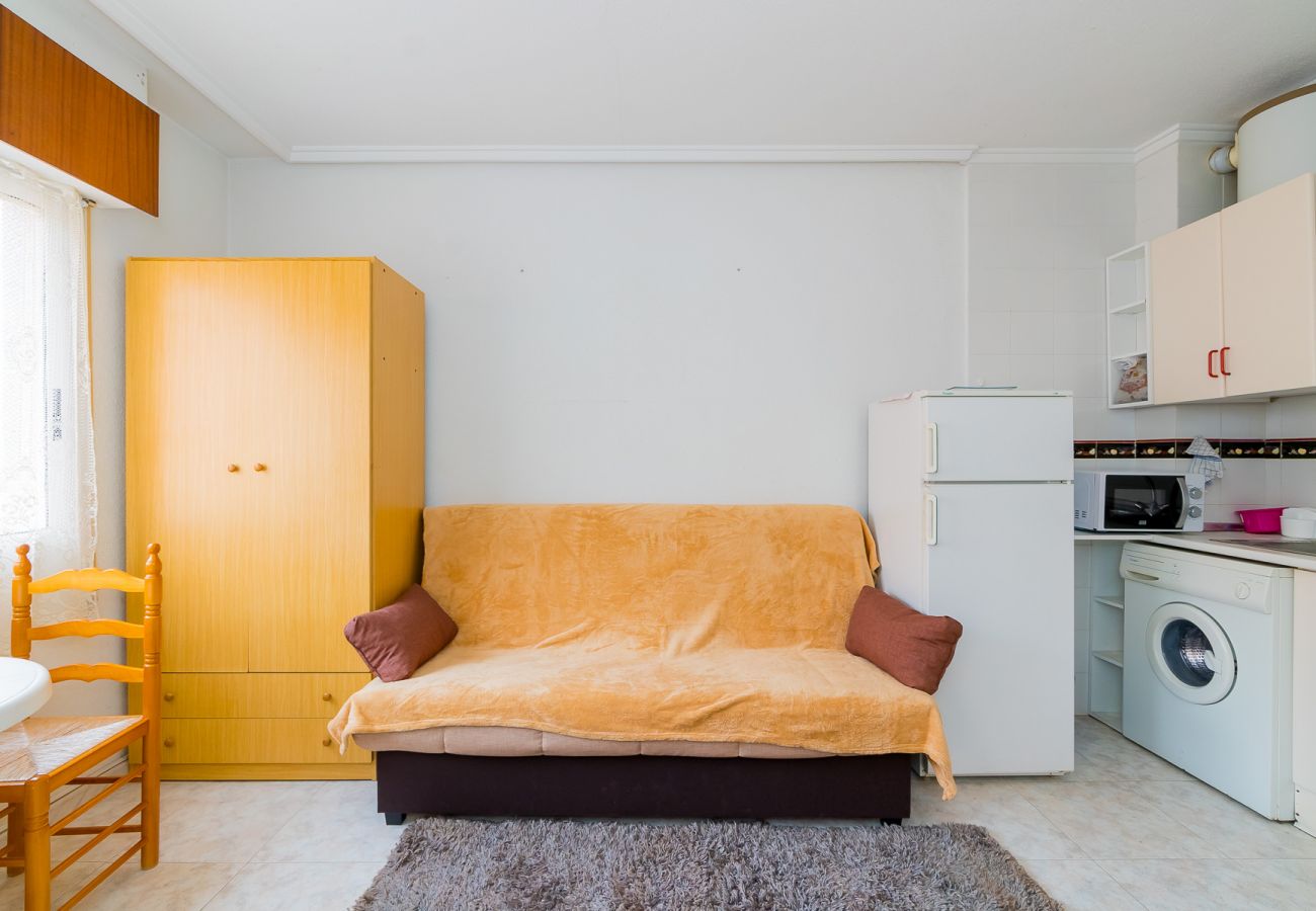 Estudio en Torrevieja - ID15