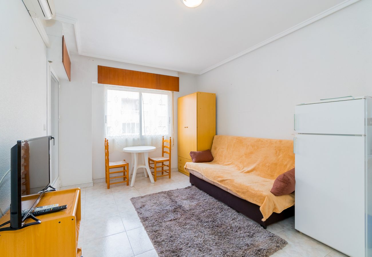 Estudio en Torrevieja - ID15