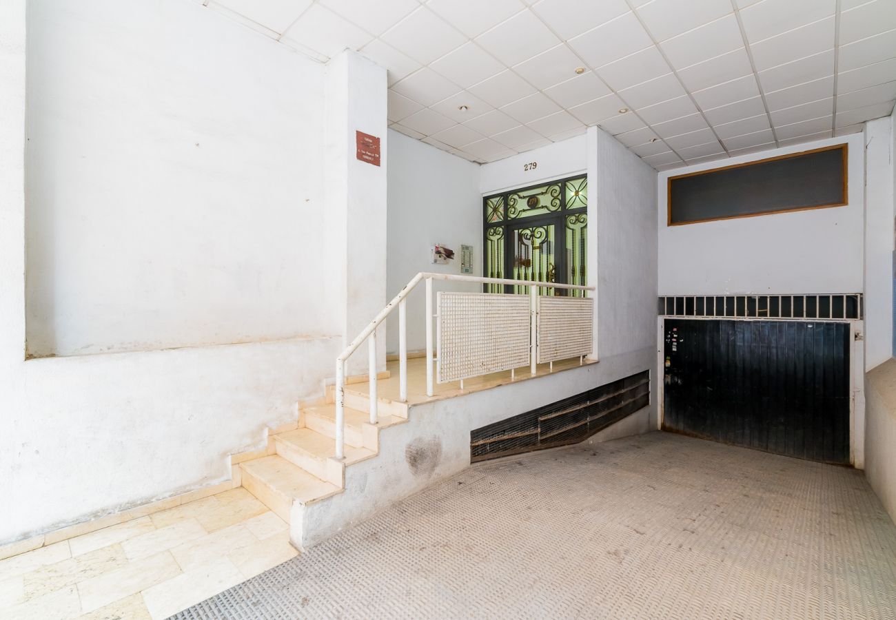 Estudio en Torrevieja - ID15