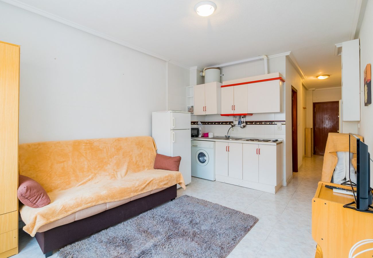 Estudio en Torrevieja - ID15