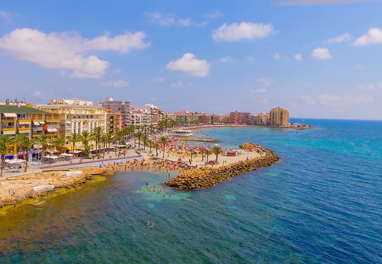 Estudio en Torrevieja - ID15
