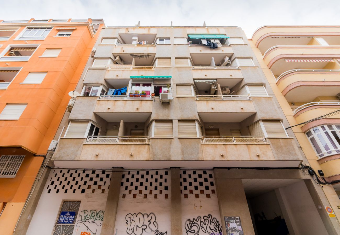 Estudio en Torrevieja - ID15