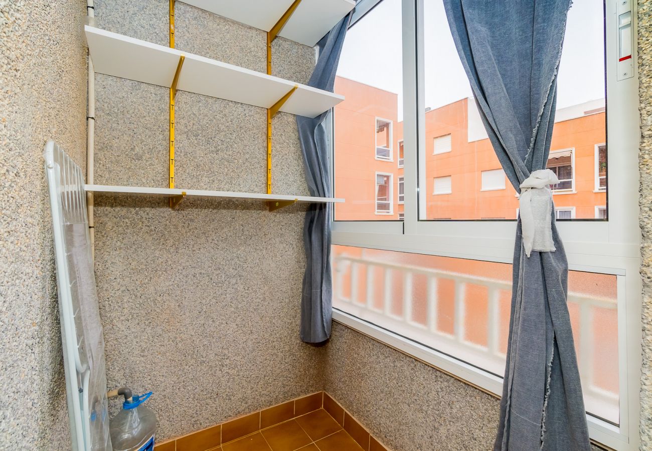 Estudio en Torrevieja - ID15