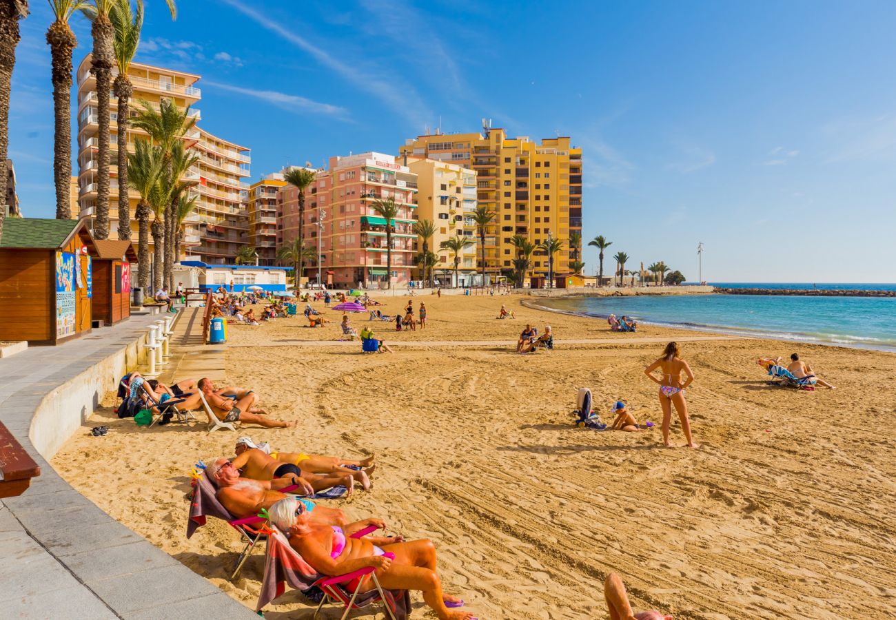 Estudio en Torrevieja - ID15