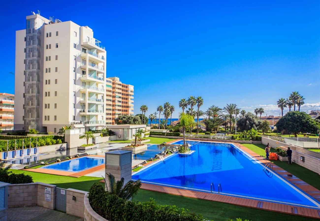 Apartamento en Torrevieja - ID74