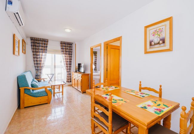 Torrevieja - Apartamento