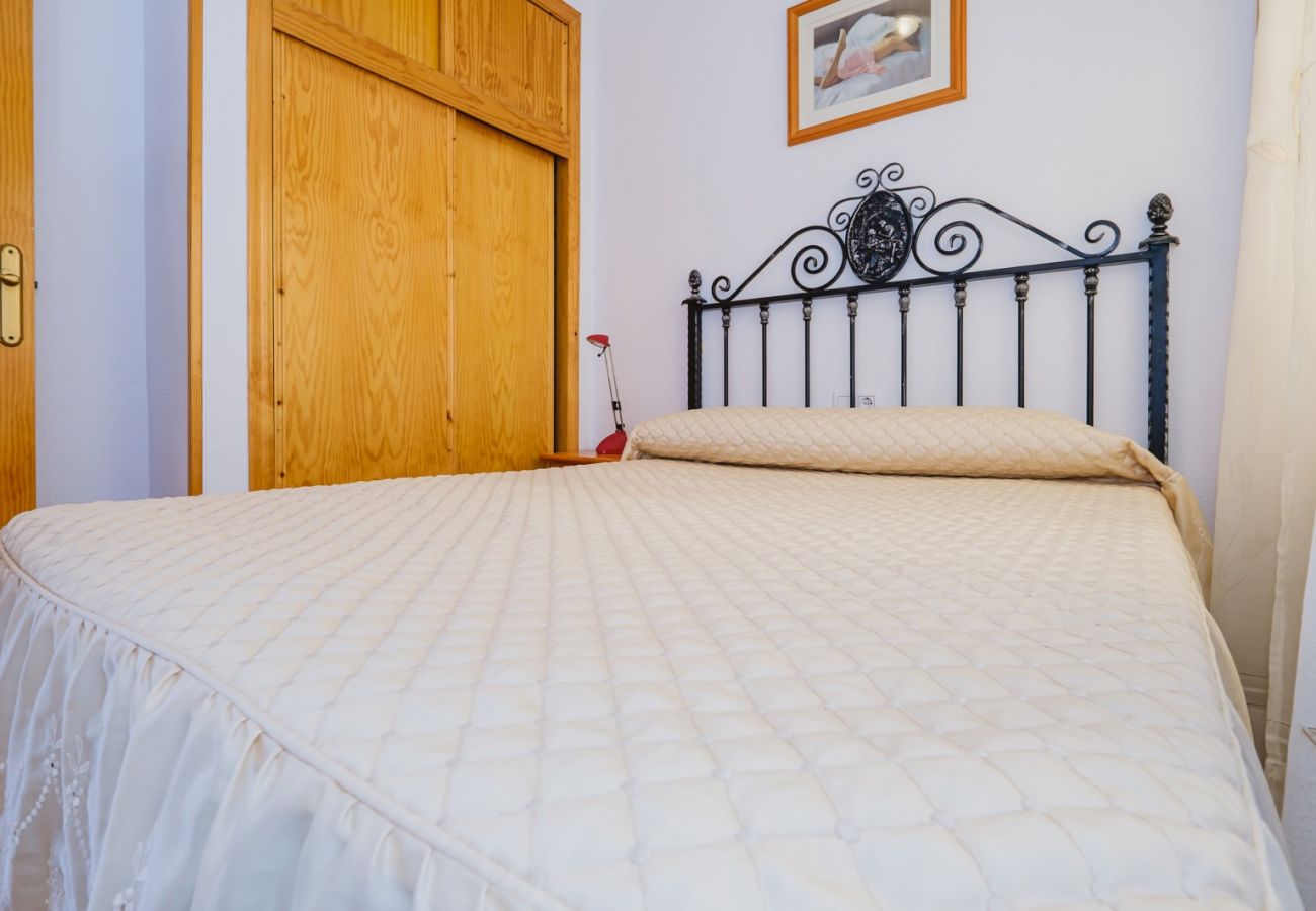 Apartamento en Torrevieja - ID116