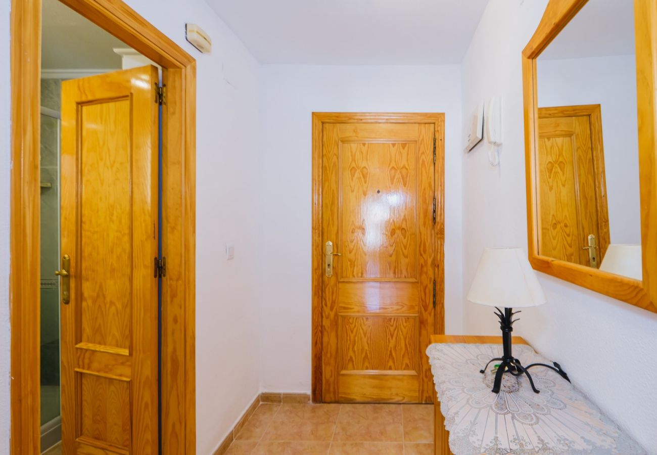 Apartamento en Torrevieja - ID116