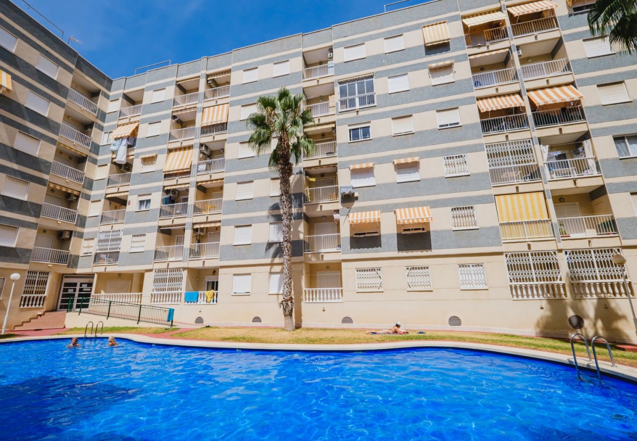 Apartamento en Torrevieja - ID116