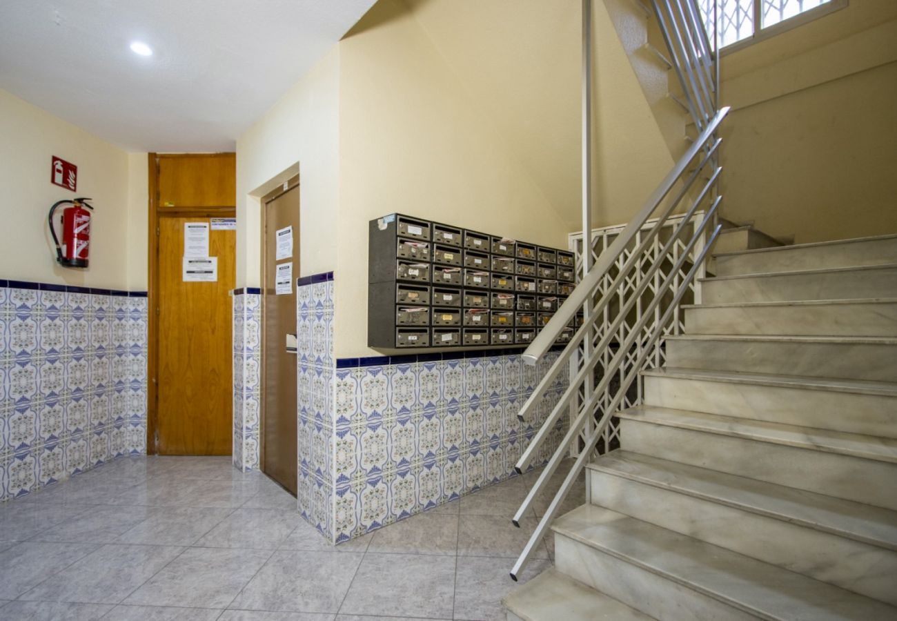 Apartamento en Torrevieja - ID24