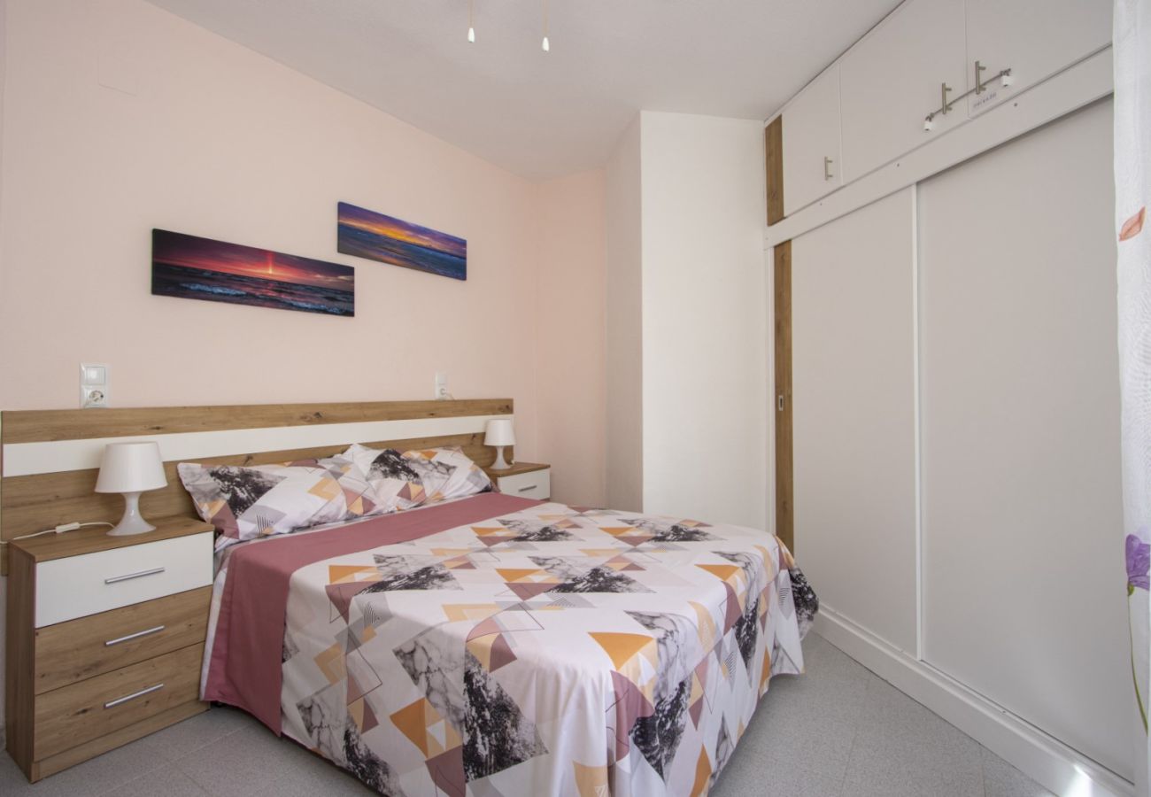 Apartamento en Torrevieja - ID24