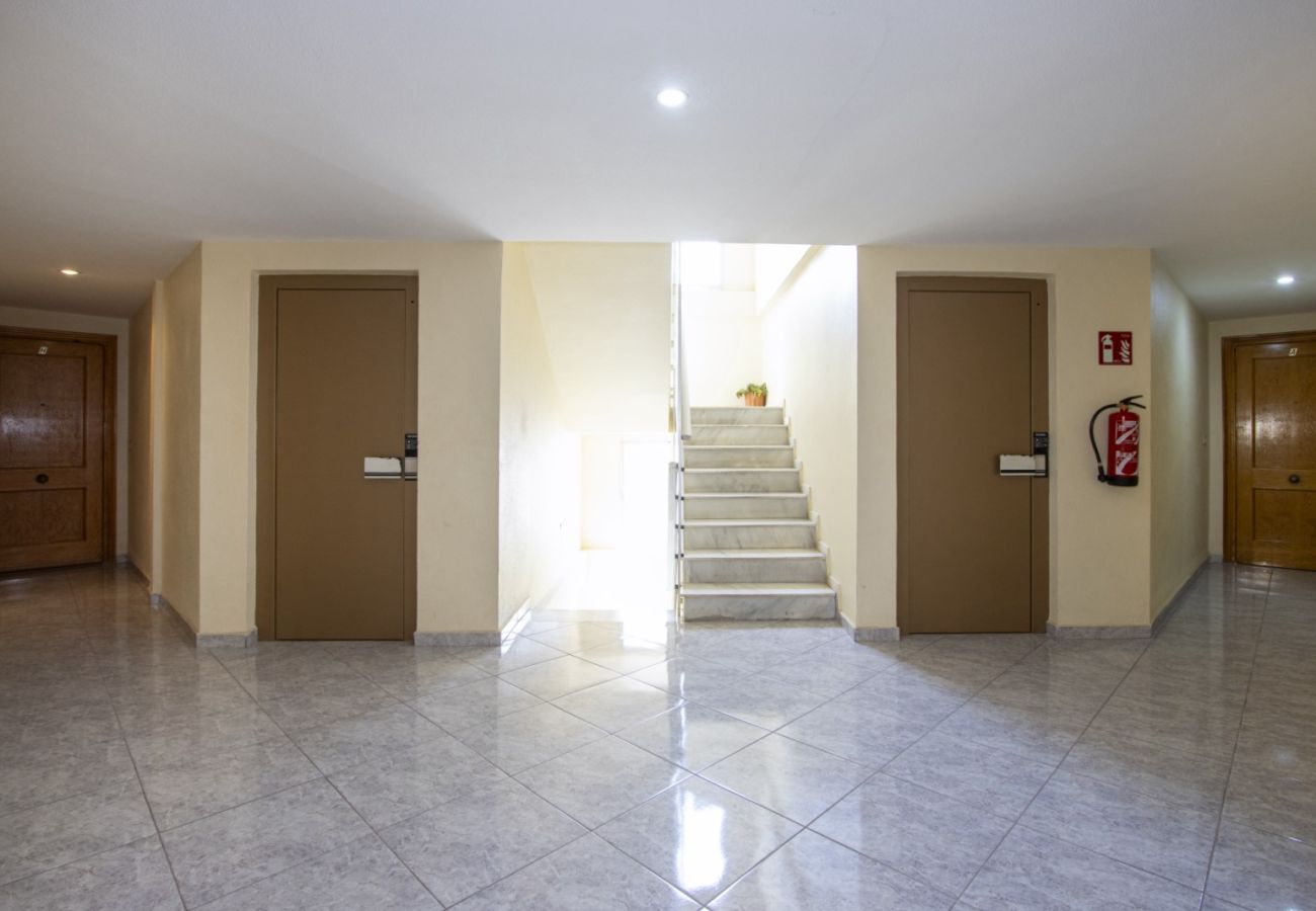 Apartamento en Torrevieja - ID24