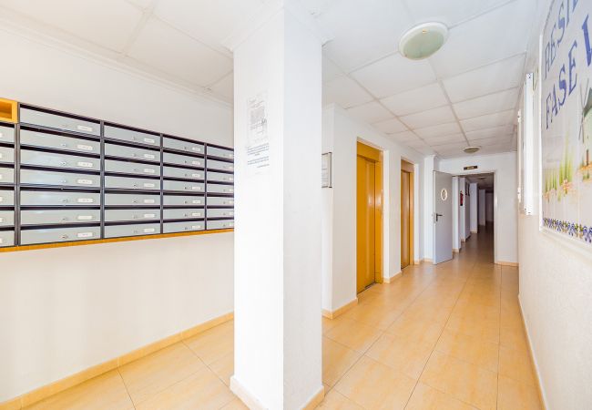 Apartamento en Torrevieja - ID9
