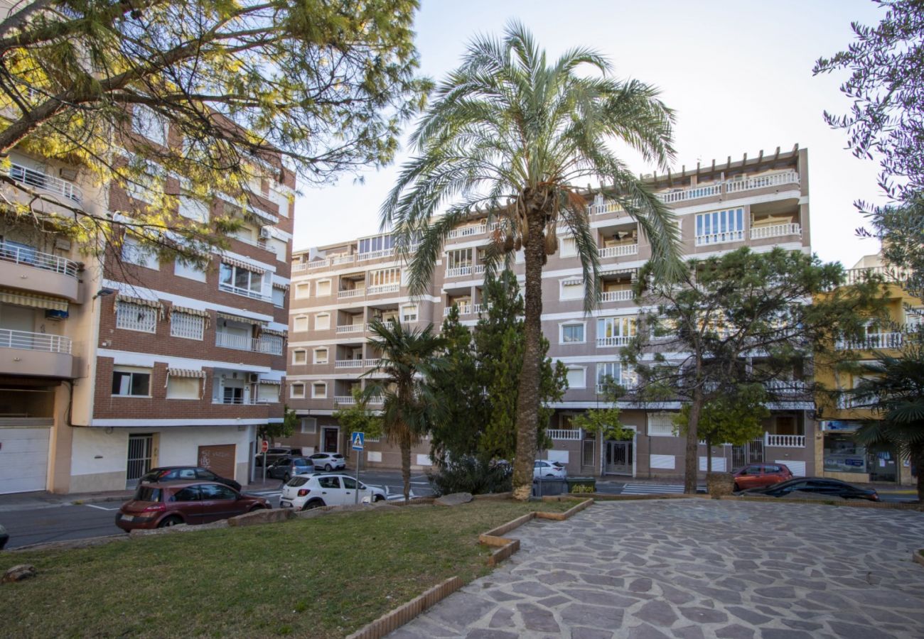 Apartamento en Torrevieja - ID166