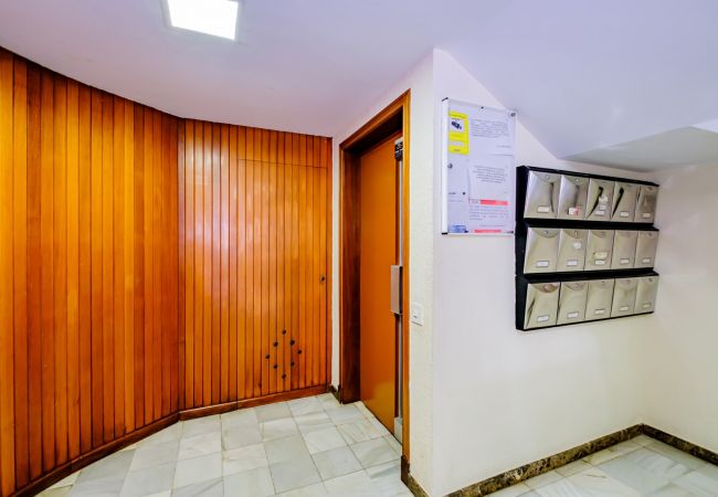 Apartamento en Torrevieja - ID172