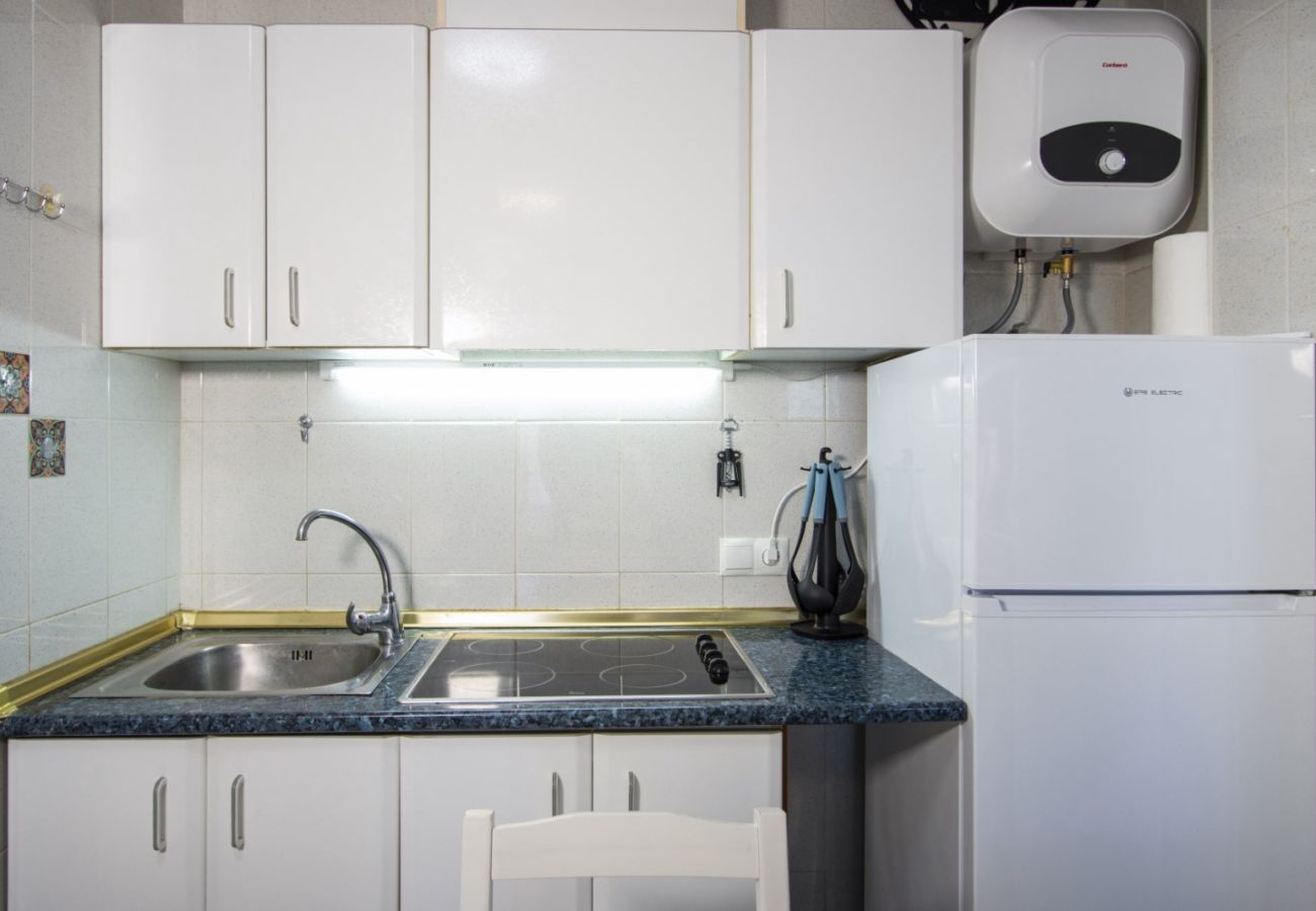 Estudio en Torrevieja - ID178