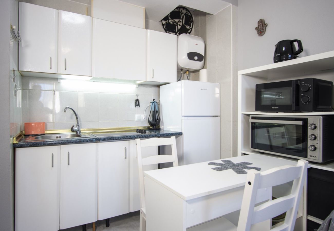 Estudio en Torrevieja - ID178