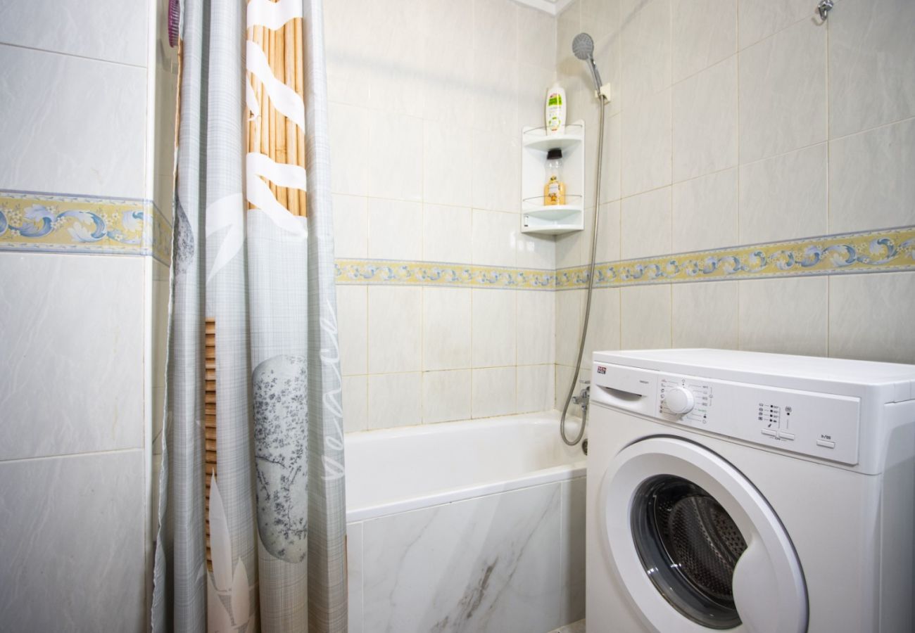 Estudio en Torrevieja - ID178