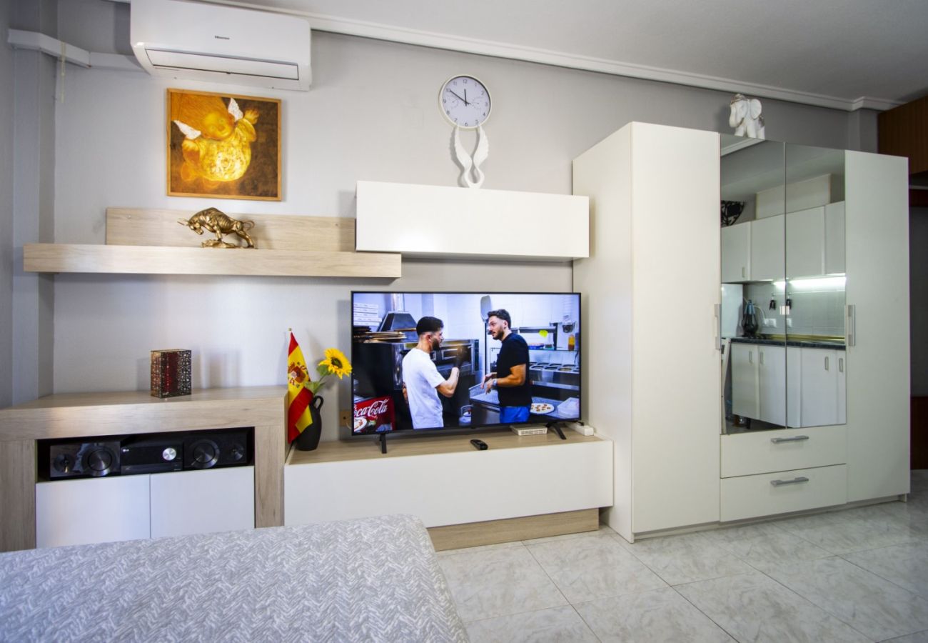 Estudio en Torrevieja - ID178