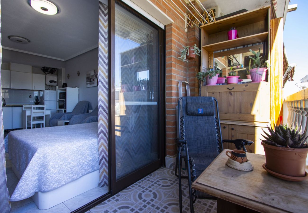 Estudio en Torrevieja - ID178