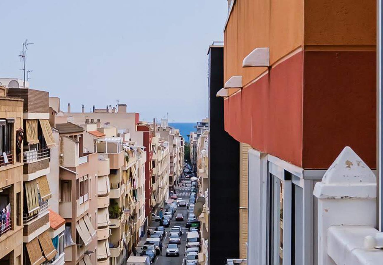 Estudio en Torrevieja - ID178