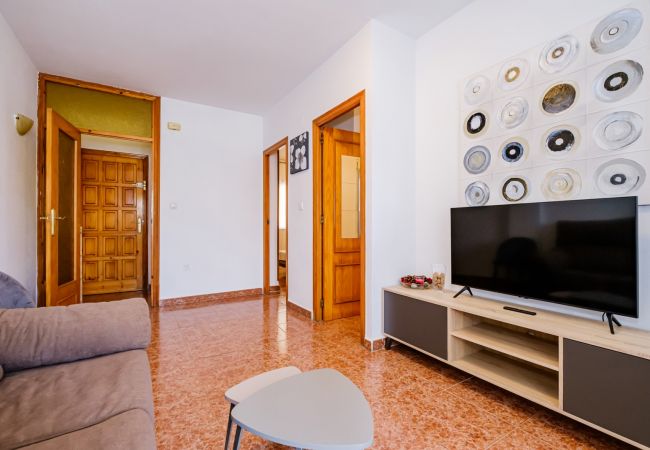 Apartamento en Torrevieja - ID79