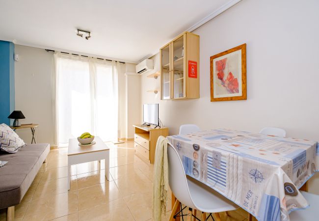 Estudio en Torrevieja - ID195