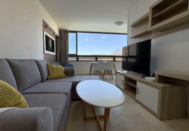 Apartamento en Benidorm - Piso - D en Benidorm con un dormitorio