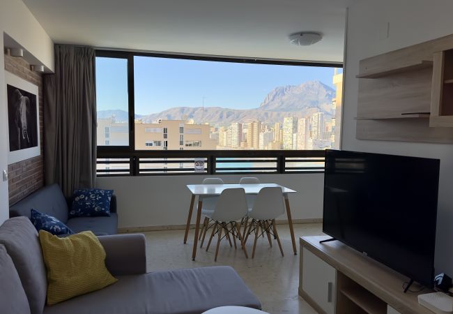 Apartamento en Benidorm - Piso - C en Rincon de Loix con un dormitorio