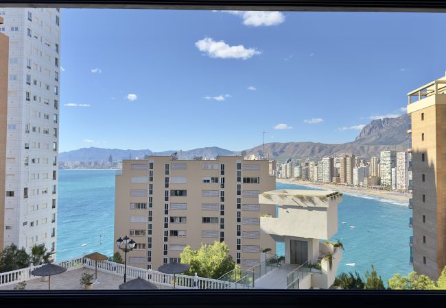 Apartamento en Benidorm - Piso - C en Rincon de Loix con un dormitorio