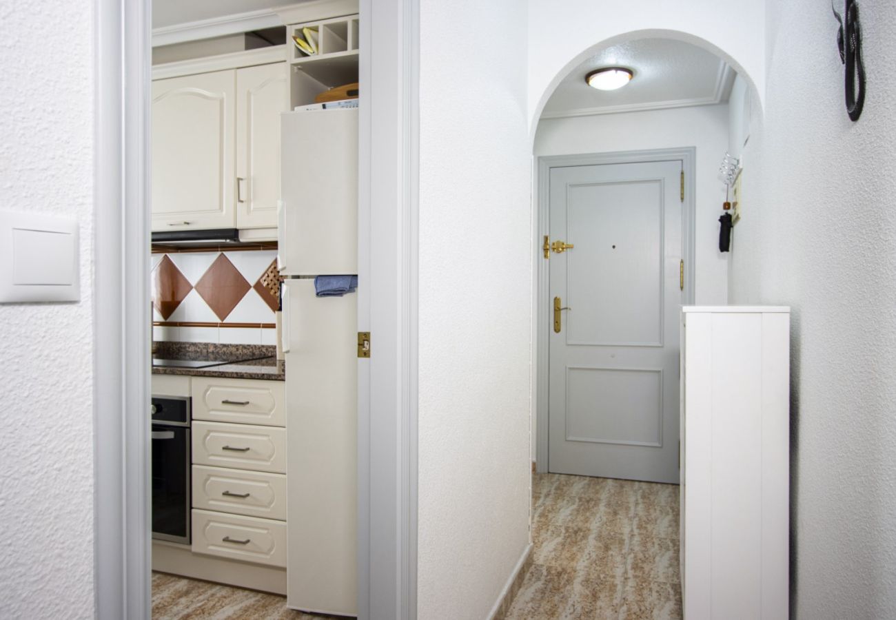 Apartamento en Torrevieja - ID197
