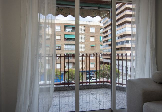 Apartamento en Torrevieja - ID115