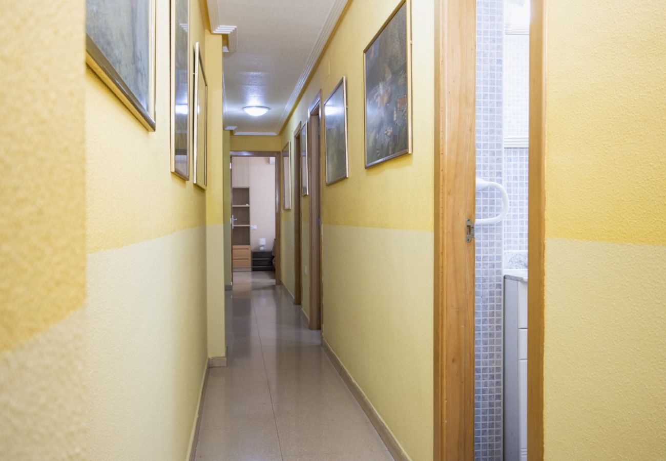 Apartamento en Torrevieja - ID151