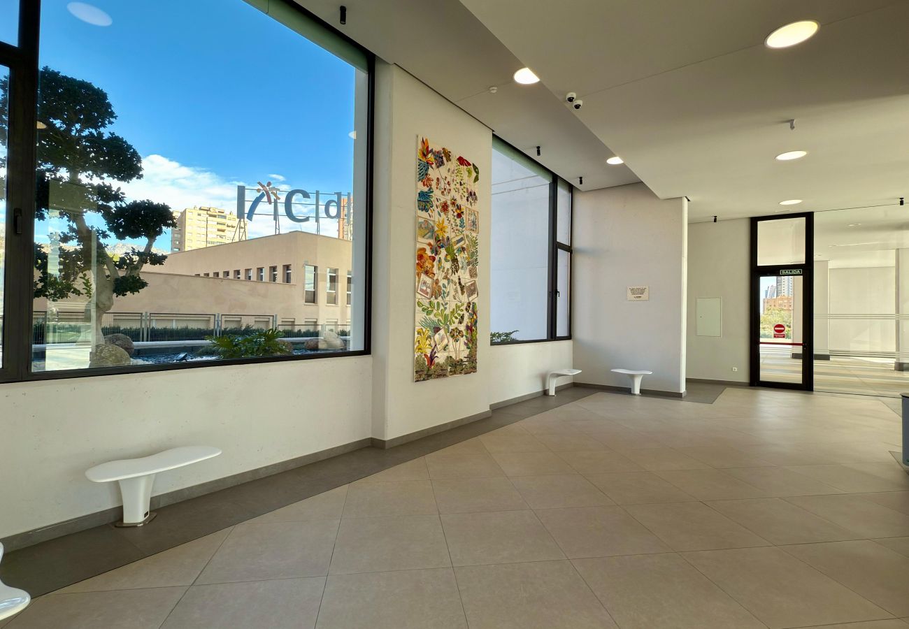 Apartamento en Benidorm - PISO 2 DORMITORIOS BENIDORM BEACH 6