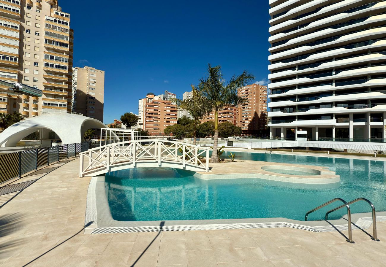 Apartamento en Benidorm - PISO 2 DORMITORIOS BENIDORM BEACH 6
