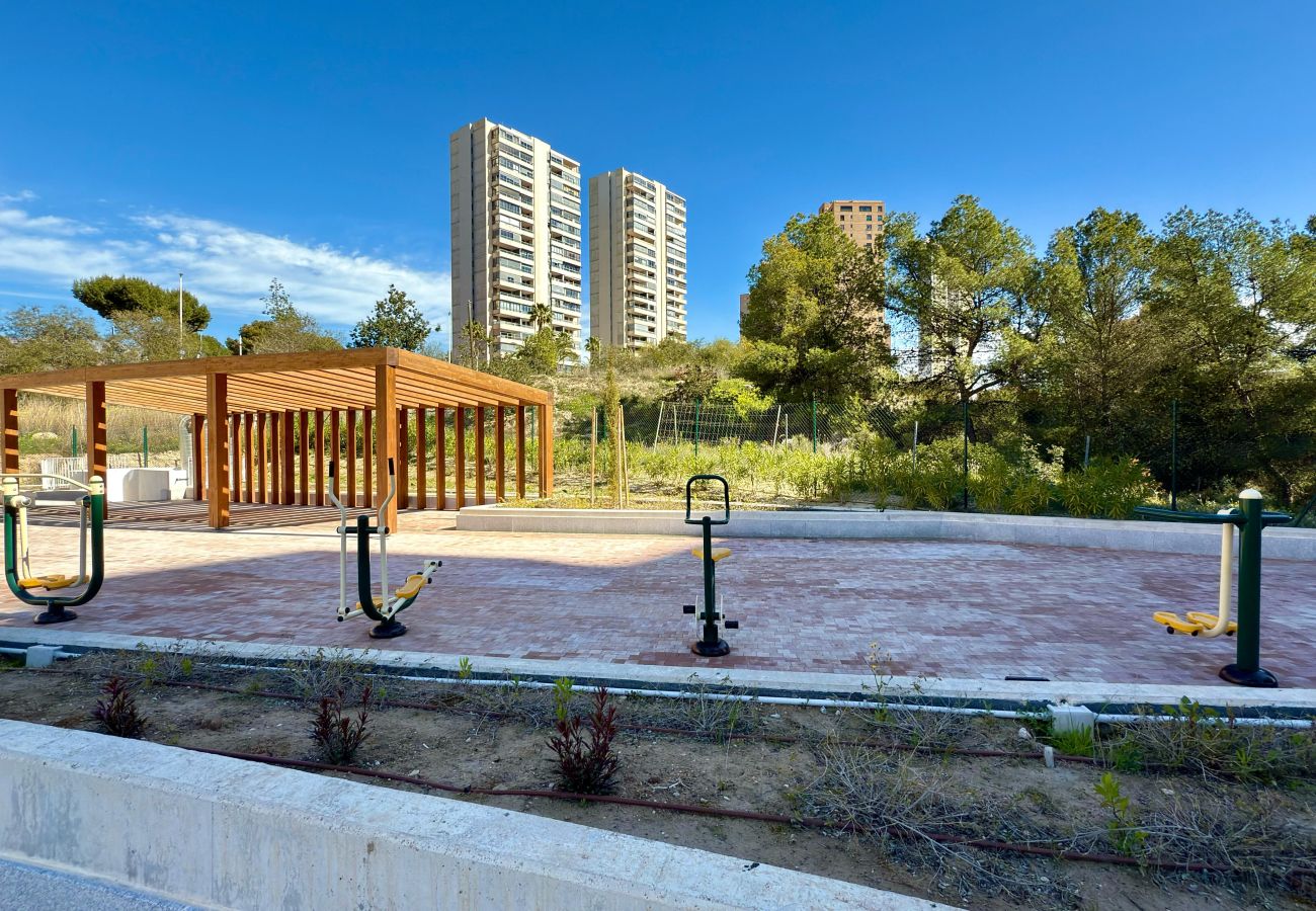 Apartamento en Benidorm - PISO 2 DORMITORIOS BENIDORM BEACH 6
